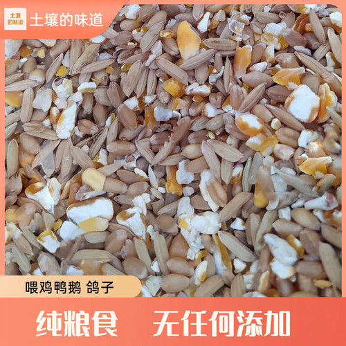 碎玉米粒稻谷混合物喂鸡玉米粉碎渣玉米糁鸡鸭粮食鸽子粮兔猪仓鼠