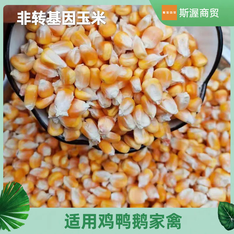 干玉米粒鸡鸭鹅饲料喂猪鸽子粮钓鱼打窝苞米酿酒棒子,畜牧/养殖物资,饲料原料,淘宝优惠券,粉丝福利购,淘宝优惠卷