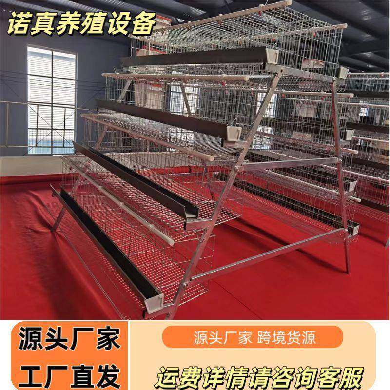 3层5门阶梯蛋鸡笼养殖厂工厂阶梯型A型鸡笼热镀锌可供外贸,畜牧/养殖物资,特种养殖设备,淘宝优惠券,粉丝福利购,淘宝优惠卷