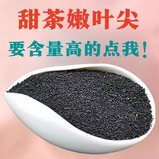美康王茶木姜叶柯多穗石柯梁平天然甜茶叶嫩叶尖细茶保健养生好茶