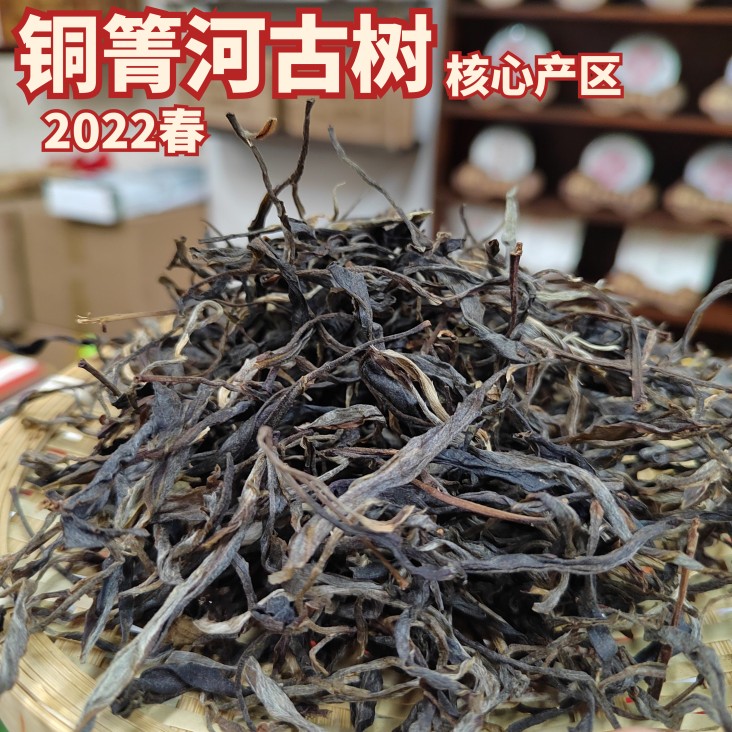 普洱茶生茶散茶易武古树茶铜箐河茶农直销2022年春新品特惠