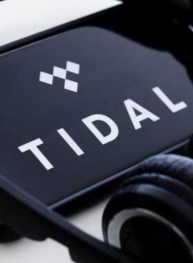 Tidal HiFi Plus/tidal master 新老客户会员
