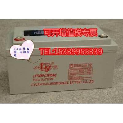 LIYUAN蓄电池LY12650力源蓄电池12V65AH直流屏通讯基站柜UPS电池