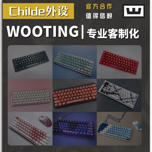 WOOTING60HE+ 80HE 满改 顶配 电竞游戏Owlab客制化定制改装套装