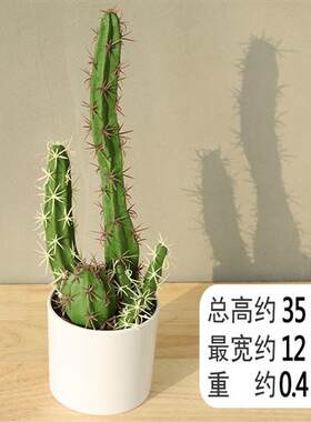 厂家直供高仿真植物盆栽假仙人掌盆景仙人柱北欧装饰绿植摆件道具