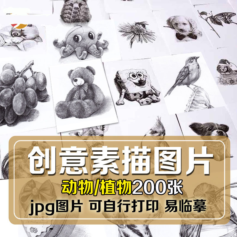创意素描绘画素材电子版 无水印可打印少儿童美术临摹卡卡通图片