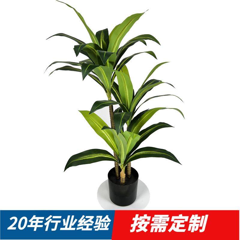 北欧风仿真巴西铁木树室内客厅落地装饰绿植庭院造景摆设假树盆栽