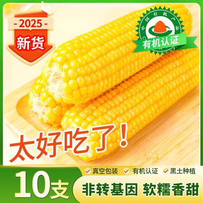 多谷部落黑龙江有机黄糯玉米