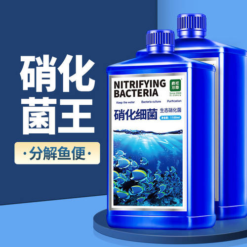 硝化细菌疯狂水草净水除便