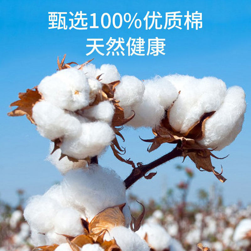 新款夏被被纯棉全凉棉儿夏被空调被新疆棉花被幼儿园小子单人童被