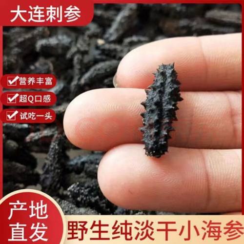 孕妇老人野生海参【免费泡一只】