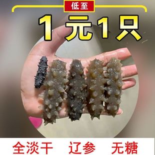 淡干海参刺参特价干海参大连干货小海参迷你佛跳墙食材速发高泡发
