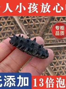 【免费试泡一头】野生海参6年参