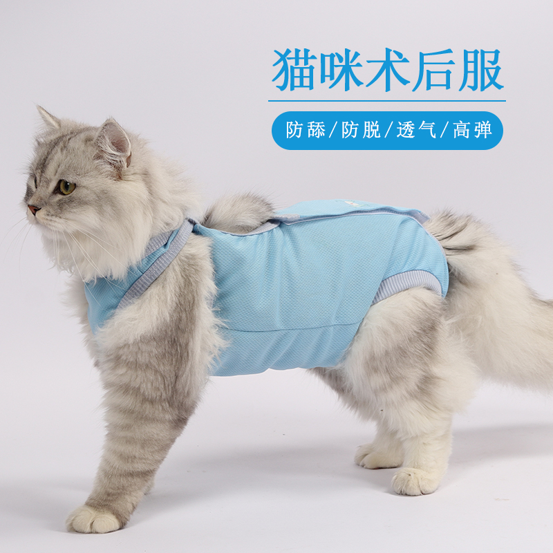 猫咪三针鸟眼布绝育服巴姆比