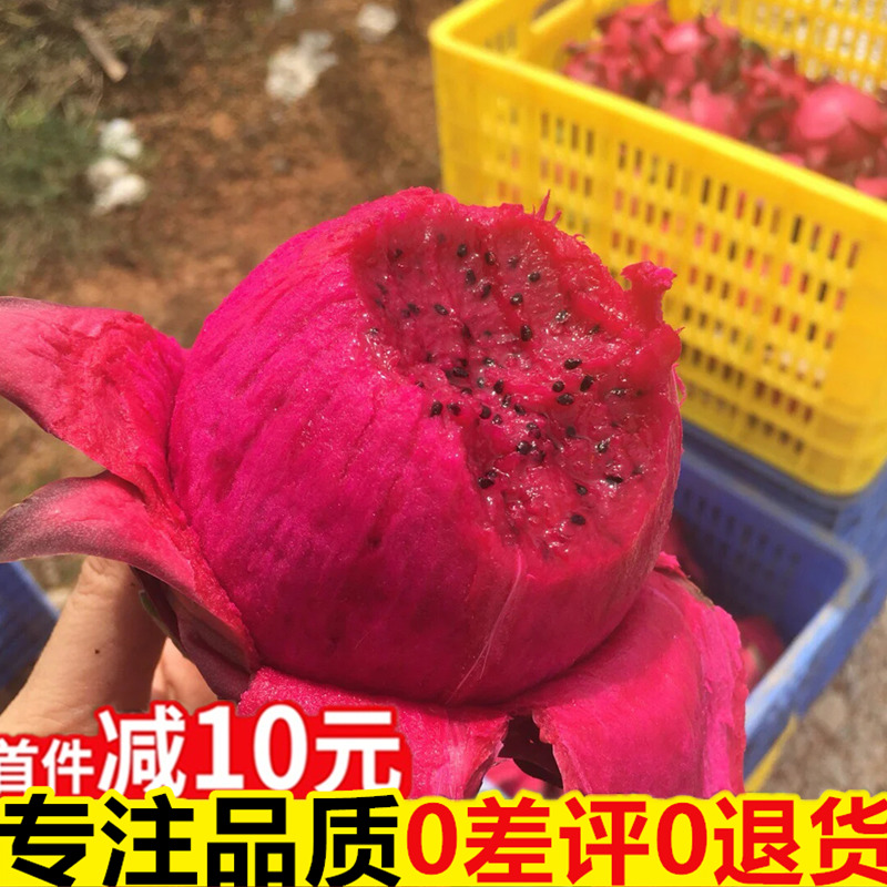 海南金都一号5斤装当季新鲜水果红肉大果整包邮非越南红心火龙果