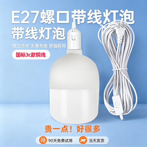 国标3C款LED带开关插头线灯泡