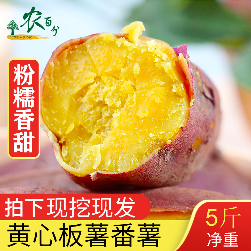 红薯新鲜黄心番薯5斤现挖蜜薯糖心番薯黄心农家粉糯甜鸡蛋黄地瓜