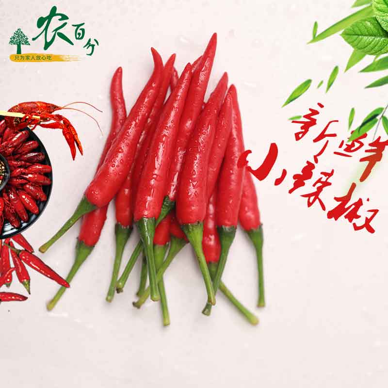 现摘小米椒新鲜批发蔬菜包邮
