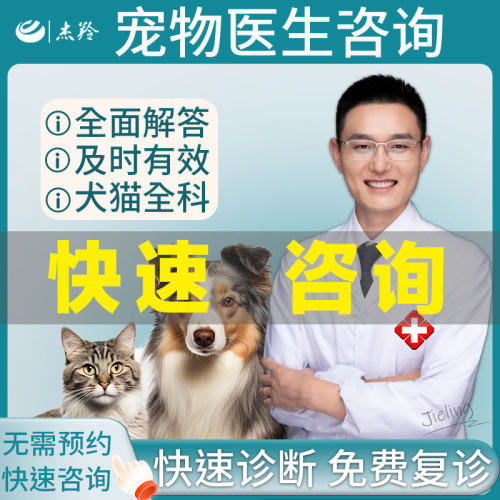 狗猫咪生病选杰羚医生不满意可退