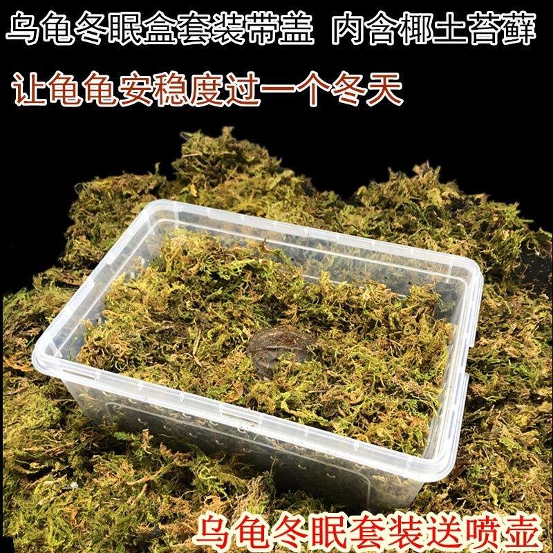 小烏龜冬眠用品裝備恒溫家用龜椰土保暖烏龜冬天保溫箱冬眠箱在類目 寵物/寵物食品及用品, 水族世界, 龜/鱉中 - 來自Buy2taobao.com提供專業的淘寶代購服務