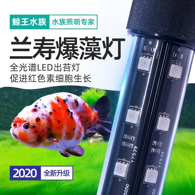 兰寿金鱼专用鱼缸灯led灯防水超亮全光谱暴爆藻灯出苔潜水水草灯 宠物/宠物食品及用品 照明器材 原图主图