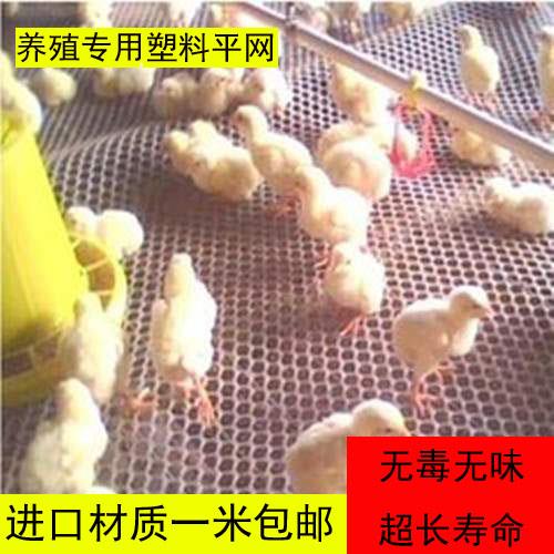 鸡用漏粪板鸭鹅用禽用加厚塑料漏粪网养鸡设备鸡舍地板养殖器械