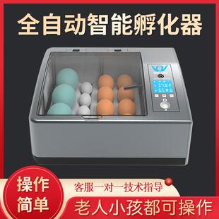 孵蛋器孵化机孵化器鸡鸭鹦鹉蛋小型家用型全自动智能芦丁鸡孵化箱