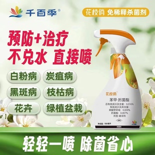 千百季花枝俏植物通用免稀释杀菌剂月季白粉病花药花卉除菌家用