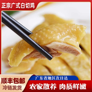 【顺丰包邮】正宗广东白切鸡港式白斩鸡广式烧腊粤菜广式白砍鸡