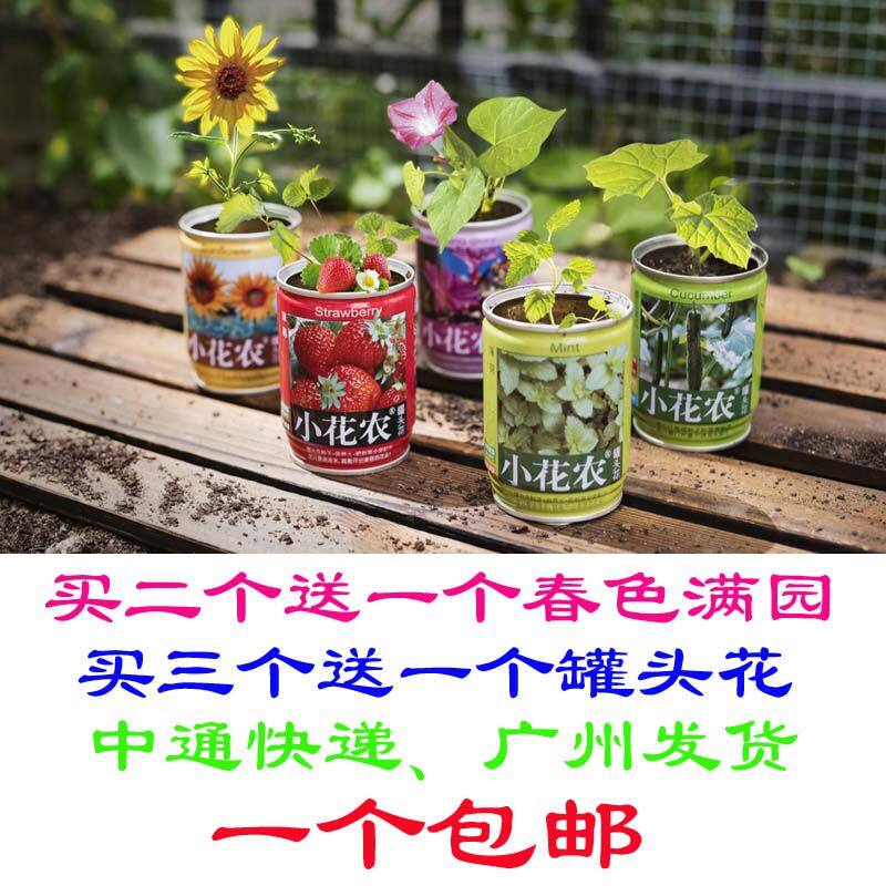 Diy种植花价格 Diy种植花图片 星期三