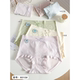 高腰版 1号链接9条10条秋冬新品 加厚纯棉女士内裤 型A