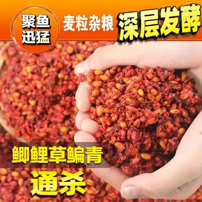 老坛谷麦酒米打窝料野钓鲫鱼颗粒