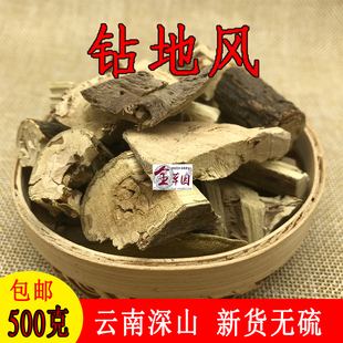 云南中药材钻地风 钻地枫 黄锁梅根 深山野生无硫晒干500克包邮