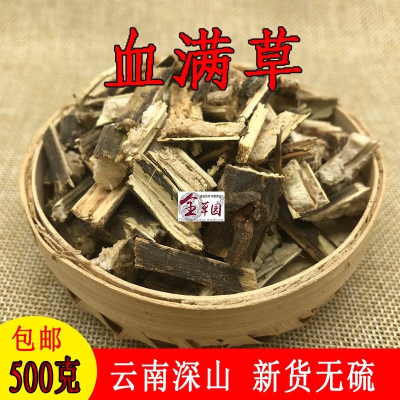 云南中药材血满草 接骨草 陆英 红山花 新鲜干货500克正品包邮