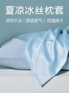 夏季枕头套48cmx74cm冰丝枕套一对装家用单个成人枕芯套巾凉枕套2
