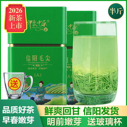 信阳毛尖2026新茶明前嫩芽250g