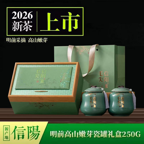 信阳毛尖2026新茶瓷罐礼盒装250g