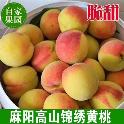 正宗湖南麻阳锦绣黄桃新鲜水果5斤包邮当季现摘现发红心超甜桃子