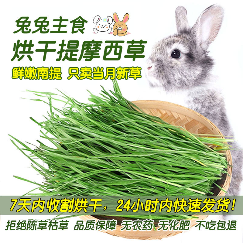 25年新草烘干南提摩西草成年兔粮