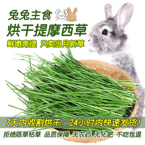 25年新草烘干南提摩西草成年兔粮