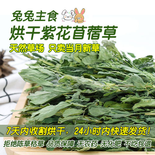 25年新草烘干苜蓿草幼兔粮兔子草