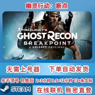 Steam正版租号 幽灵行动：断点 游戏租号 在线联机 账密直登