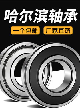 哈尔滨轴承6200 6201 6202 6203 6204 6205 6206 6207 ZZ 2Z 2RS