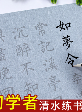 李清照宋词水写布套装如梦令字帖套装苏轼清水练字专用初学者入门描红临摹成人仿宣纸水墨水写练习水洗布软笔