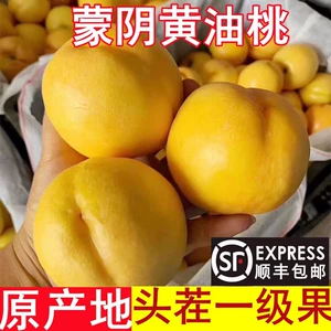 [黄油桃新鲜水果山东蒙阴黄金油桃当季整箱应季桃子脆甜桃黄心黄桃]