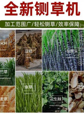 速发切草机碎用机养殖机草小型打猪草机器切猪食家菜叶玉米秸秆粉