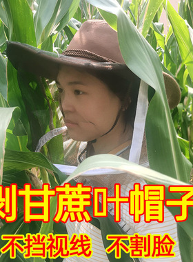 砍甘蔗帽子防甘蔗叶割脸收玉米