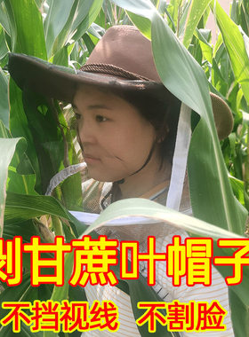 砍甘蔗帽子防甘蔗叶割脸收玉米