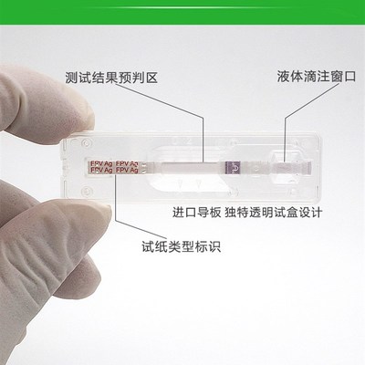 细小试纸 狗狗犬瘟热细p小病毒测试纸卡CDV+CPV幼犬疾病检测卡套