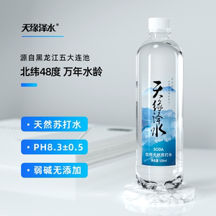 天缘泽水五大连池饮用天然苏打水500ML*24瓶 整箱  弱碱性水